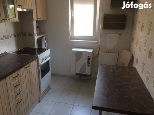 Kiadó újszerű kis tégla lakás Pécsen Egyetemvárosban