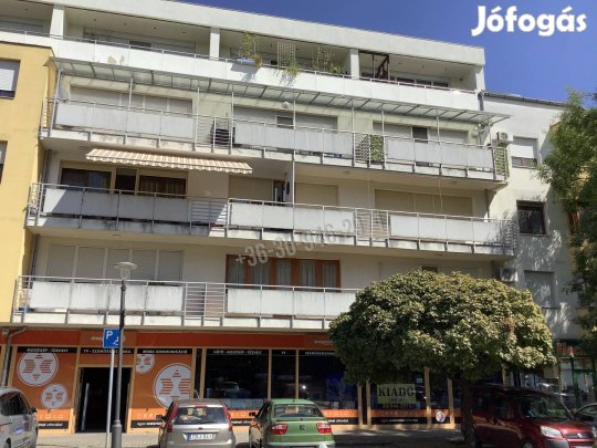 Kiadó üzlethelyiség, Békéscsaba Békéscsaba-Belváros, 650000 Ft, 342_ph