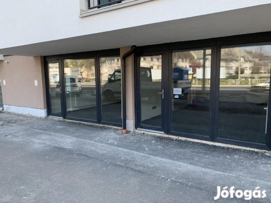 Kiadó üzlethelyiség, Győr