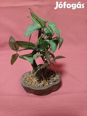 Kicsi mű virág asztali dísz dekoráció eladó !!