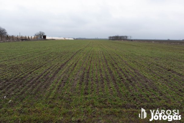 Kiemelt fejlesztési terület Röszke M5 autópálya közelében