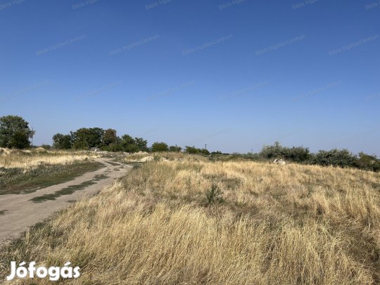 Kiemelt iparterület eladó Jánoshalmán