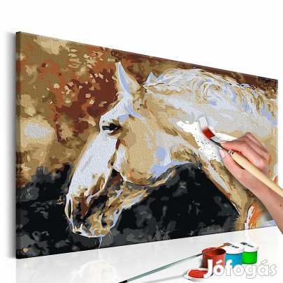 Kifestő - Fehér ló