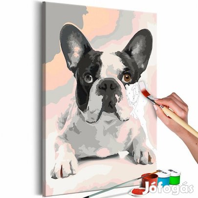 Kifestő - Francia Bulldog