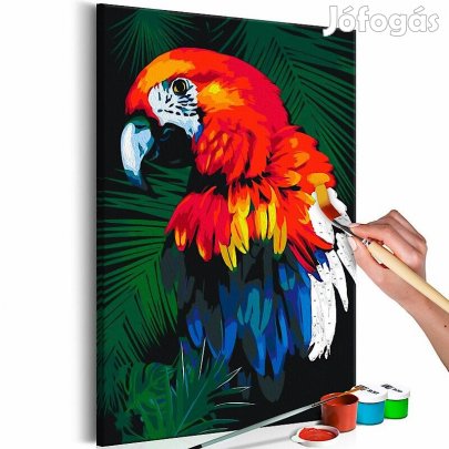 Kifestő - Színes Papagáj