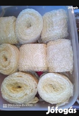 Kígyóbőr vedlés művészeti célokra