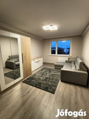 Kiliánban 2 szobás felújított lakás eladó!