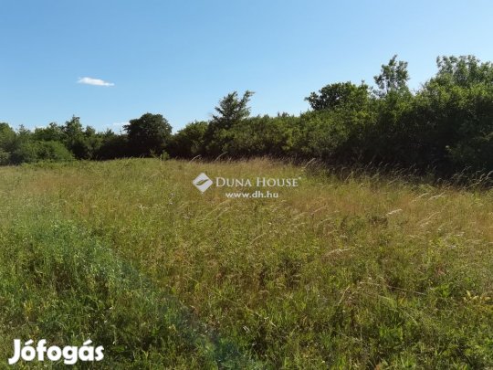 Kincsesbányai eladó 3121 nm-es telek