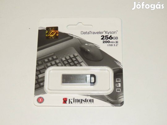 Kingston 256 gb pendrive