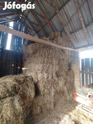 Kis bálás Búza szalma