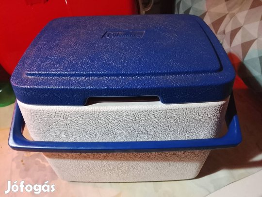 Kis hűtőtáska jégakkukkal