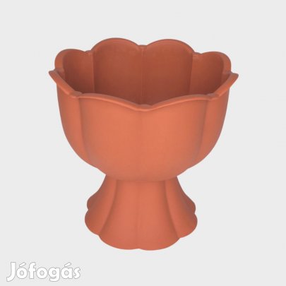 Kis tulipántalpas tulipánkehely