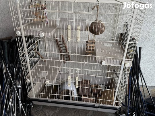 Kisállat görény ketrec állat hörcsög mászó 