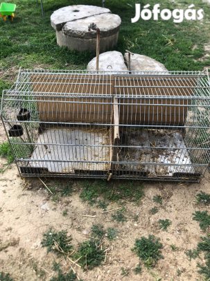Kisállat ketrec