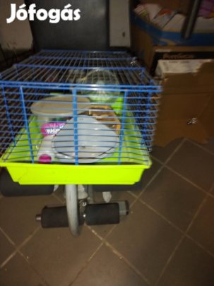 Kisállat kifutó kisállat tartó 