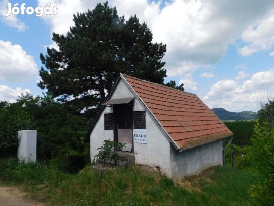 Kisapátiban örökpanorámás zártkert eladó