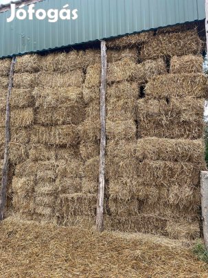 Kisbálás búzaszalma