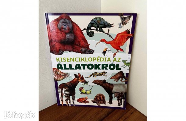 Kisenciklopédia állatokról állatos füzet magazin könyv gyerek