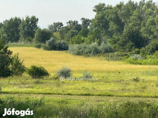 Kiskörei eladó 3638 nm-es telek