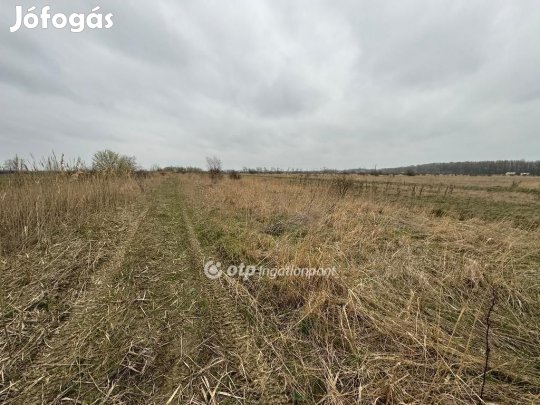 Kiskörei eladó 667 nm-es telek