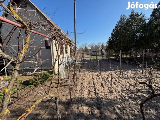 Kiskunfélegyháza, IX. körzet tanya