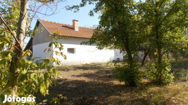 Kiskunfélegyháza és Jászszentlászló között tanya eladó