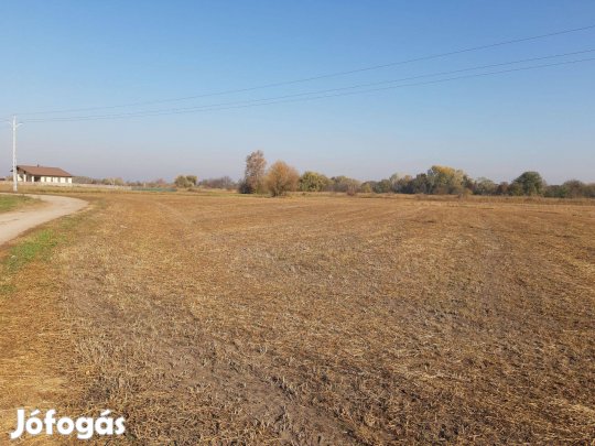 Kiskunhalas Kertvárosi, osztható fejlesztési terület eladó!