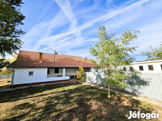 Kiskunhalas Olajosok útján jól működő kutyapanzió eladó!