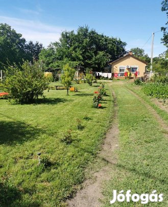 Kiskunhalas Sóstón hangulatos kis ház parkosított udvarral!