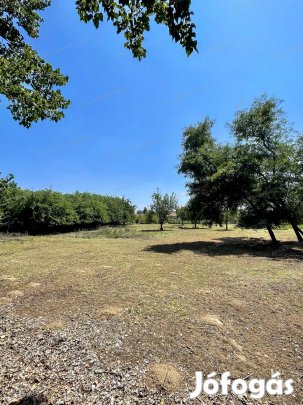 Kiskunhalas, Fridrich Lajos utca közelében, 5563 m2-es terület eladó