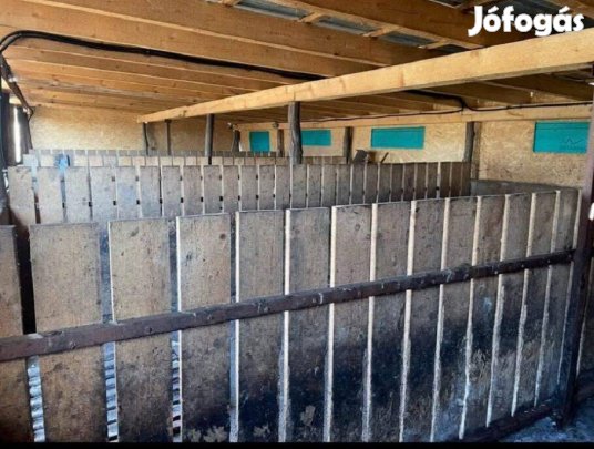 Kiskunhalas, Tóth tó közelében eladó korszerű állattartó telephely!