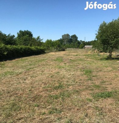 Kiskunhalas - Alsóöregszőlőkben 3160 m2 zártkert eladó!