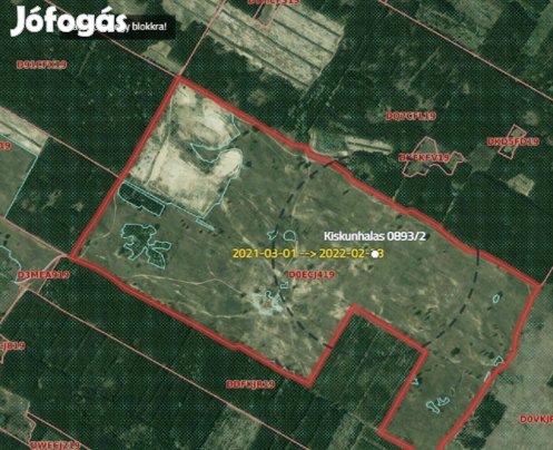 Kiskunhalas külterületén 55 Ha legelő eladó!