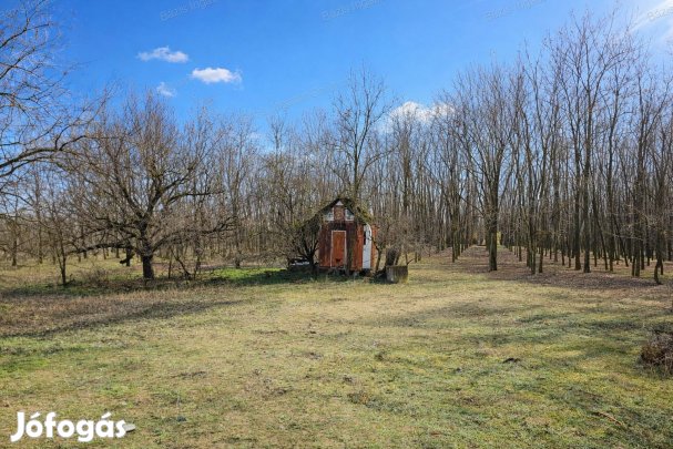 Kiskunhalason 1513 m2-es telek eladó