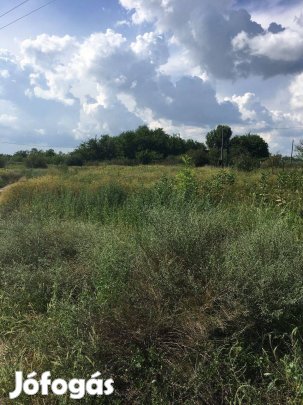 Kiskunhalason 5056 m2 építési telek eladó!