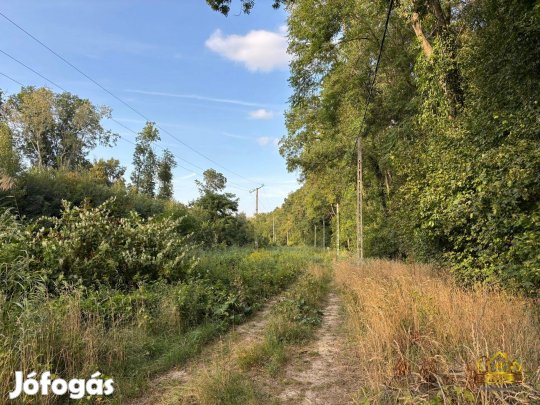 Kiskunlacházán ikerházak építésére alkalmas telekegyüttes! 1187