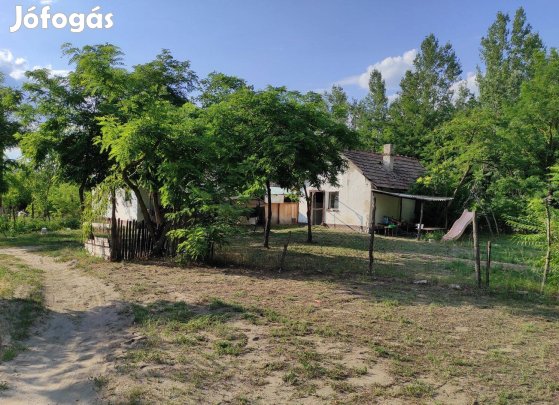 Kiskunmajsa szélén 2 épületből álló tanya eladó!