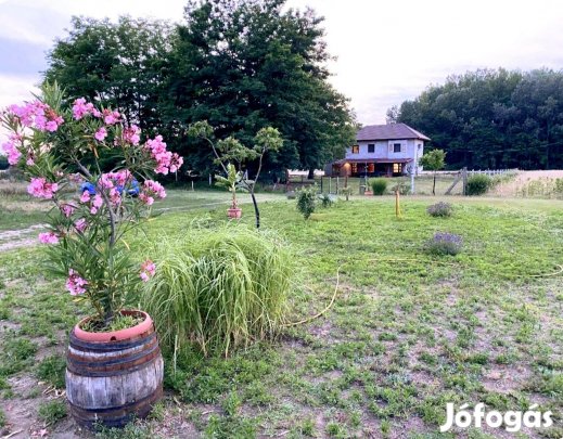 Kiskunmajsán felújított tanya 1 km-re a termálfürdőtől!