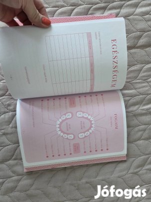 Kislányos babanapló