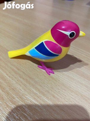 Kismadár-fütty,tapsra,sípra dalol,csipog/feje-csőre/balra-jobbra mozog