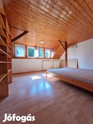 Kismaroson felújítás alatti lakás természetközeli helyen eladó!