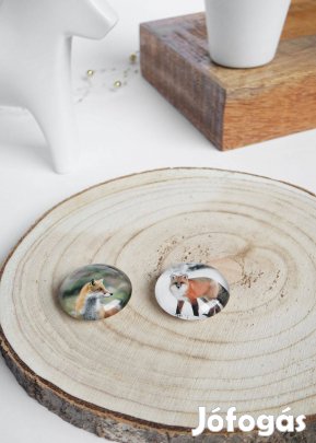 Kisrókás üveg mágnesek - Dísz