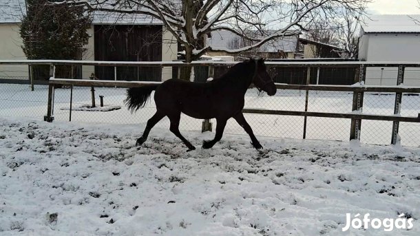 Kissló sportra vagy hobira