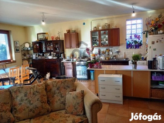 Kistarcsai 130 nm-es ház eladó