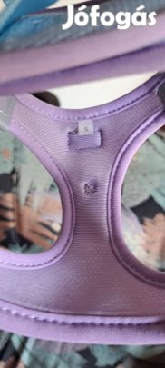 Kistestű állat hám s méret