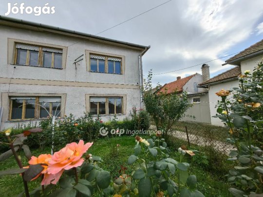 Kisújszállási 165 nm-es ház eladó