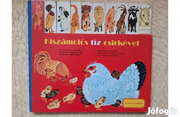 Kiszámolós 10 csirkével