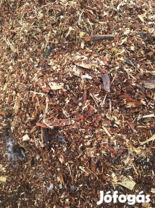 Kitűnő akáckéreg ( apró ) kerti talajtakarónak eladó