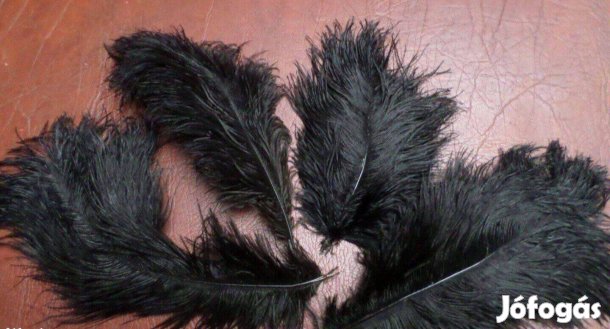 Kitűző kalap dísz stucc toll