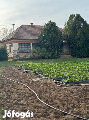 Kiváló Lokációval Bíró Tanya II. Mandabokorban